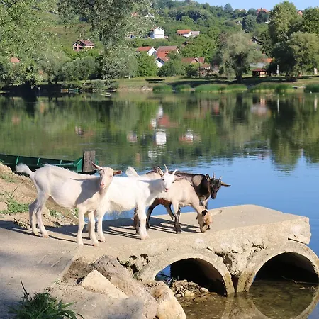Homes Piralo * Kostajnica