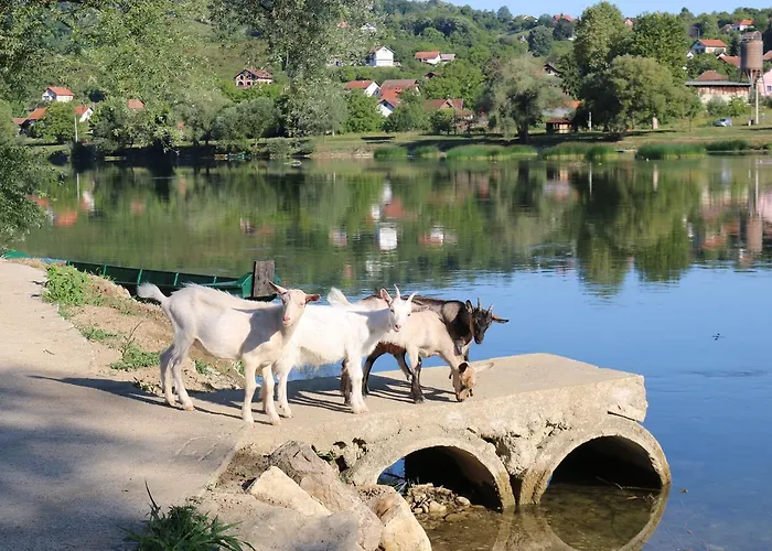 Homes Piralo * Kostajnica